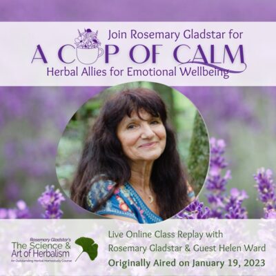 A Cup of Calm Replay