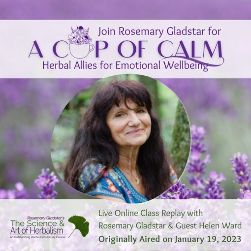 A Cup of Calm Replay square