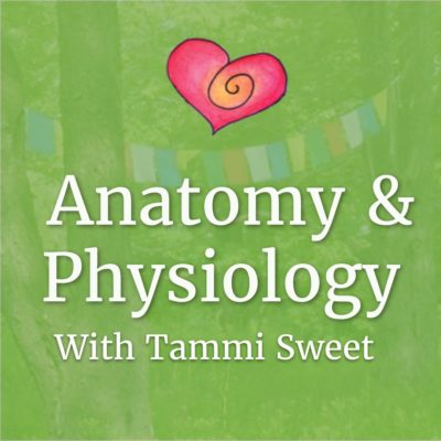 Tammi Sweet's Online Anatomy & Physiology: An Herbalist's Guide to the Human Body