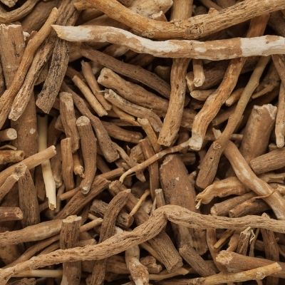 Ashwagandha small square plant profile