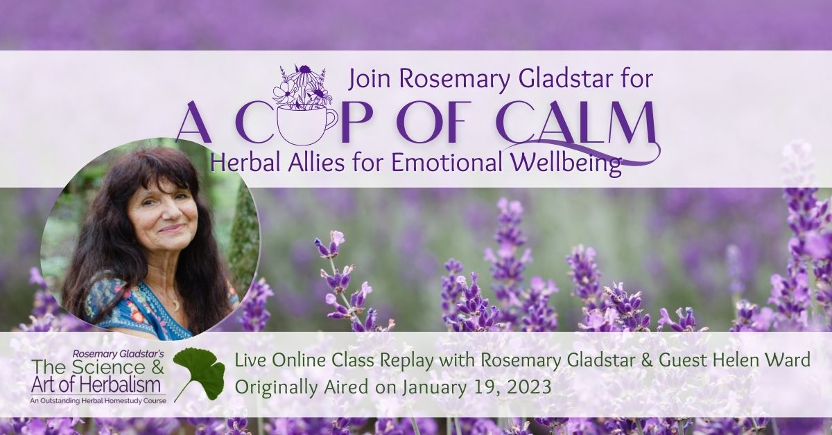 A Cup of Calm - Class Replay