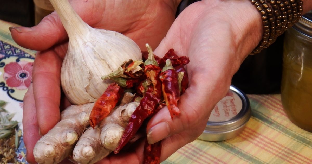 fire cider herbs garlic pepper ginger