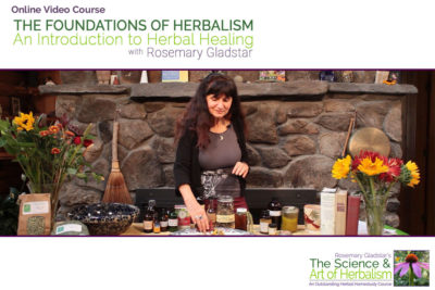 The Foundations of Herbalism Online Video Series