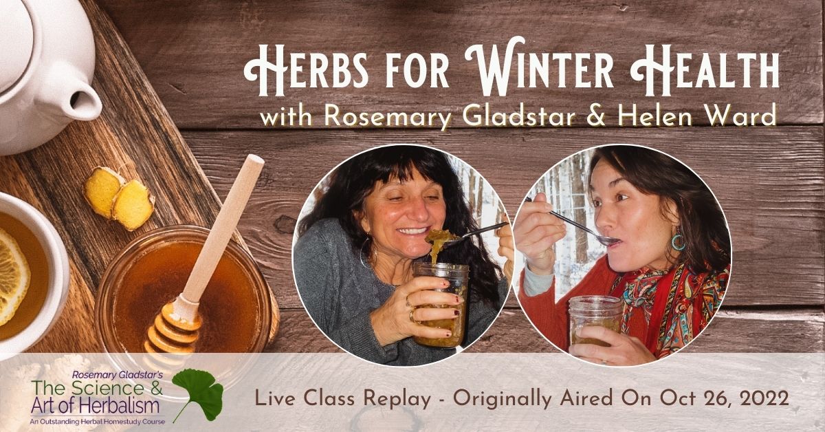Herbs for Winter Health - Live Class Replay