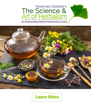 learn_moreTeaTime-Banner