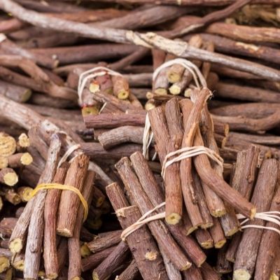 licorice root small square plant profile