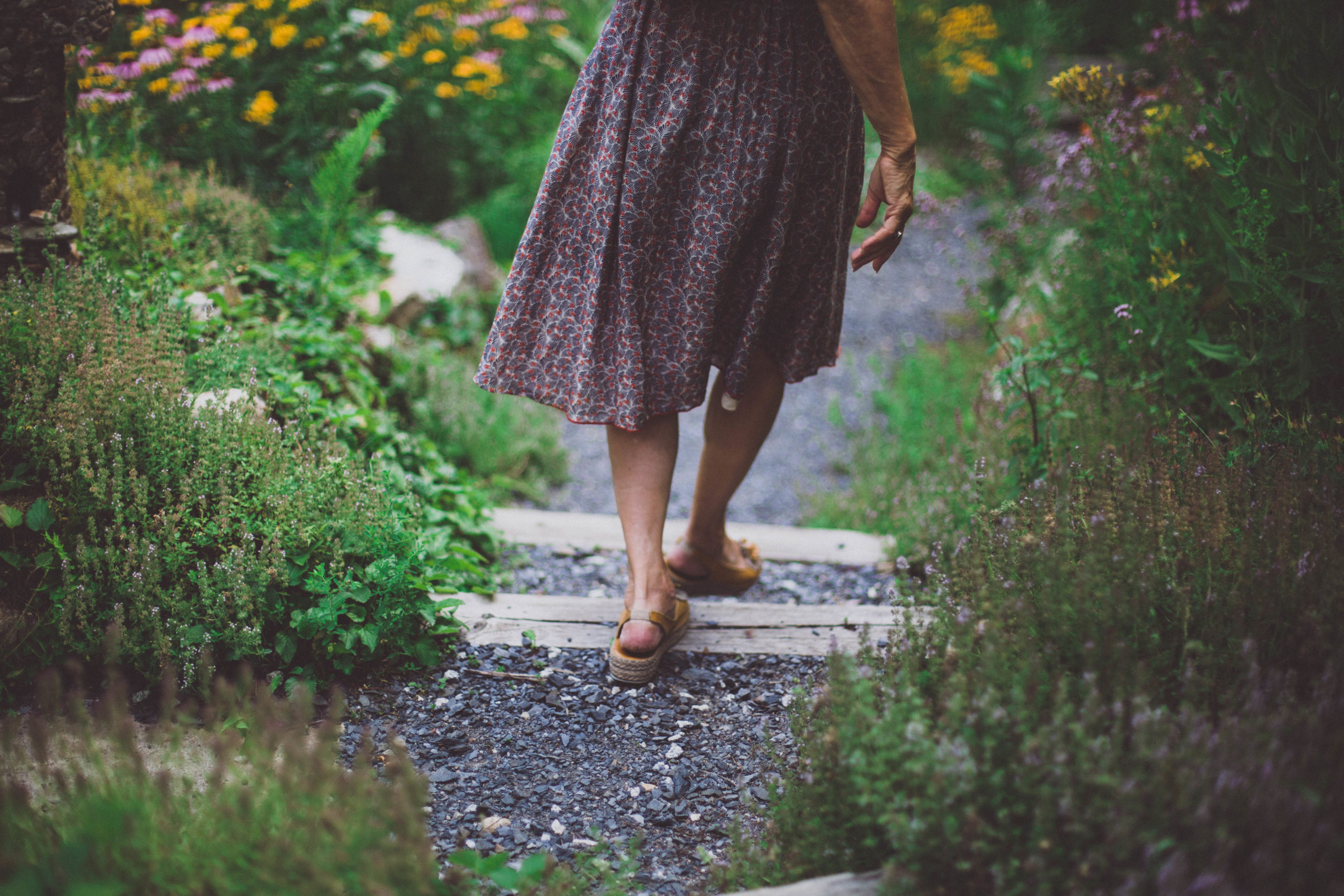 Becoming Stewards of Healing Herbs By Creating Botanical Sanctuaries