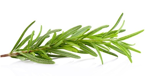 rosemary sprig