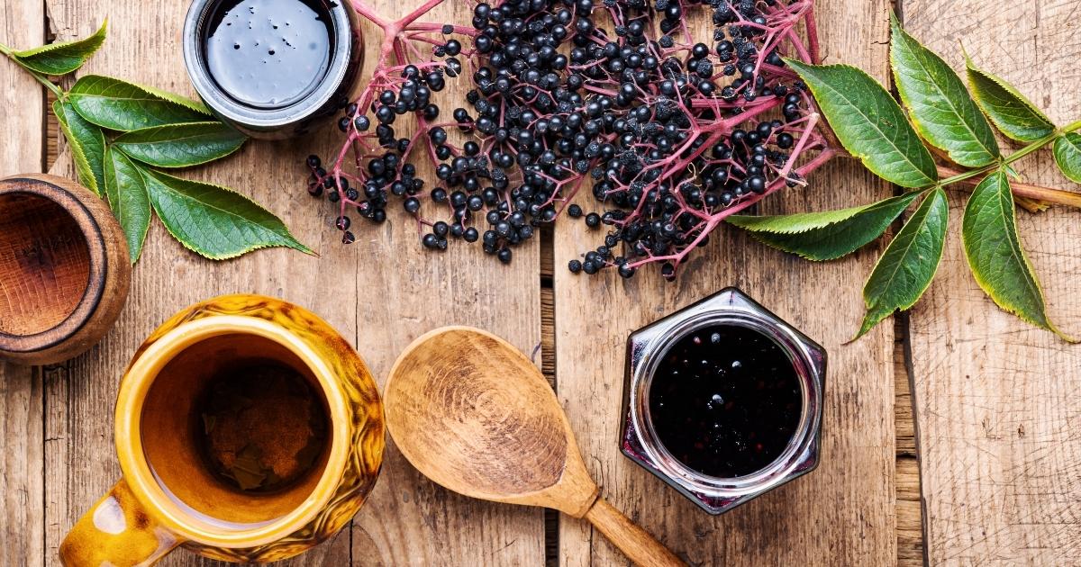 elderberry syrup