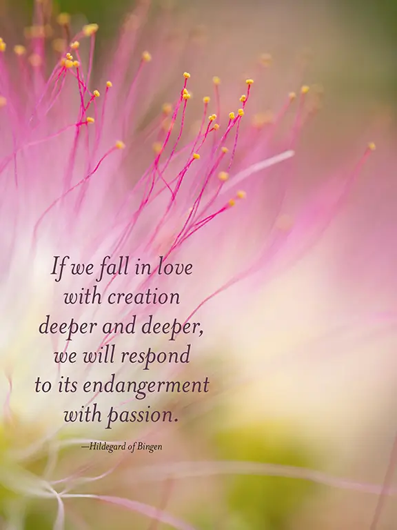 The Generosity of Plants 4 102 c ToscaRadigonda GenerosityPlants