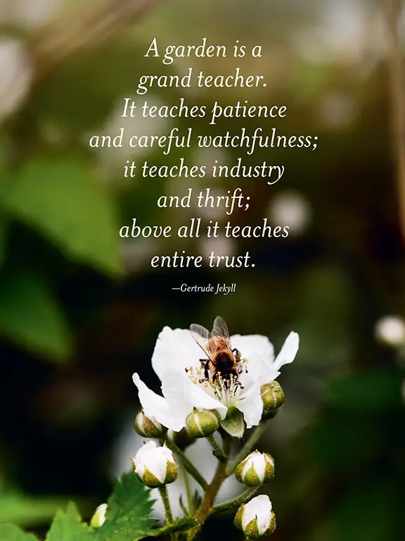 The Generosity of Plants 10 155 c CarmenTroesser GenerosityPlants