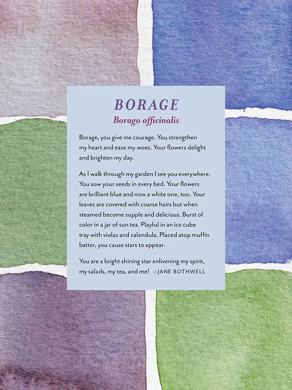 The Generosity of Plants 13 46 c MarsVilaubi GenerosityPlants