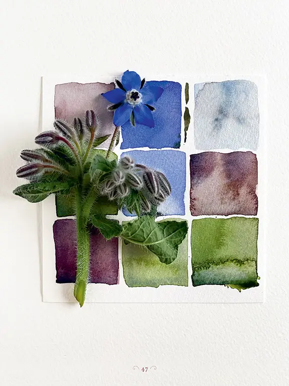 The Generosity of Plants 12 47 c LoreneEdwardsForkner GenerosityPlants