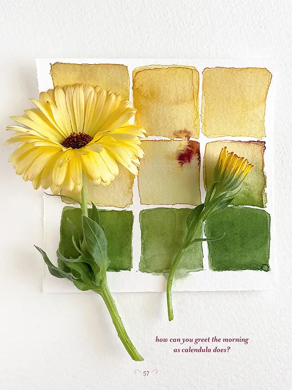 The Generosity of Plants 6 57 c LoreneEdwardsForkner GenerosityPlants