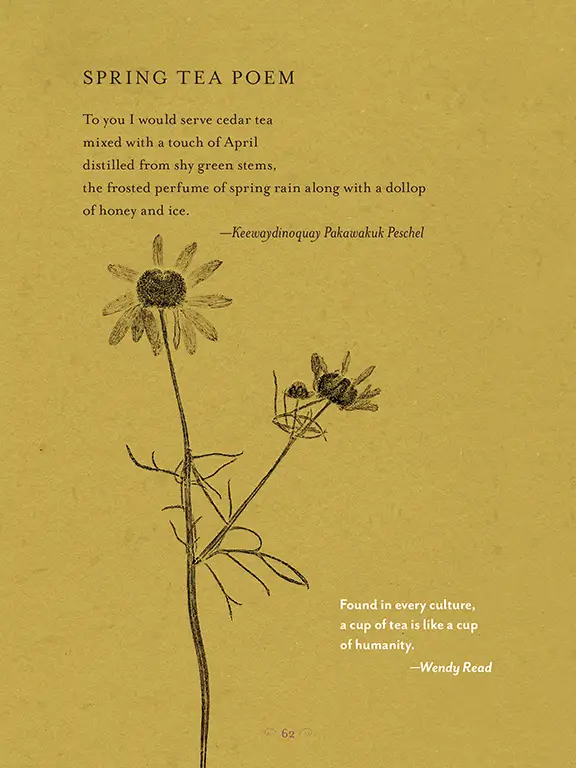 The Generosity of Plants 9 62 c AliciaBreakspear GenerosityPlants