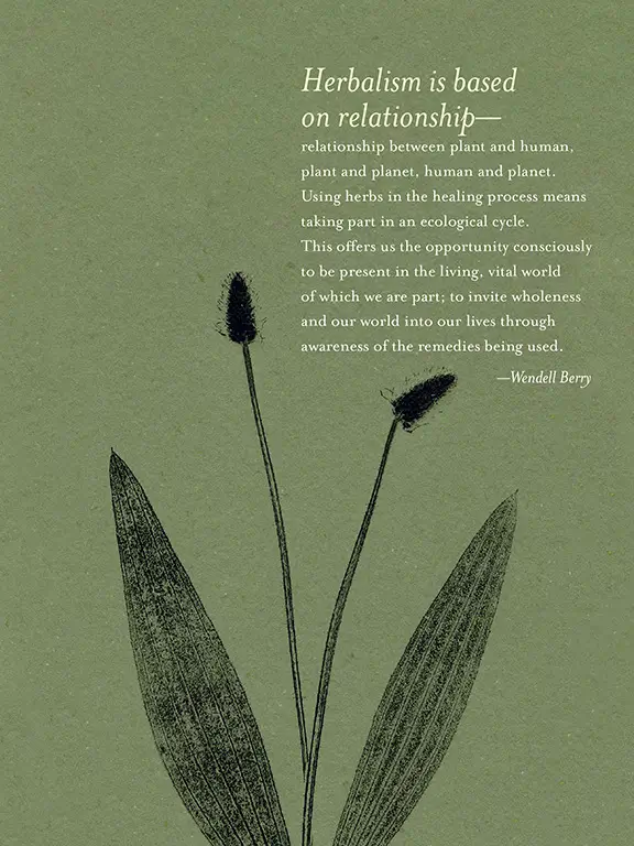 The Generosity of Plants 5 81 c AliciaBreakspear GenerosityPlants