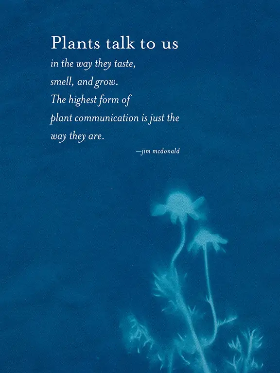 The Generosity of Plants 11 89 c CarolynEckert GenerosityPlants