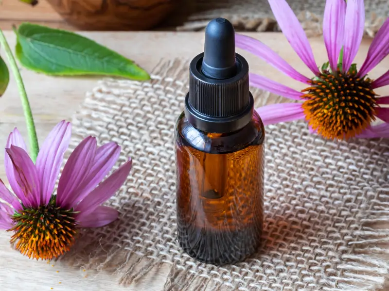 Echinacea Tincture
