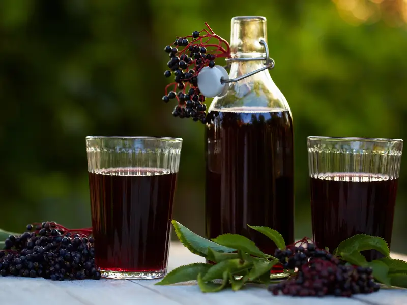 Elderberry Oxymel