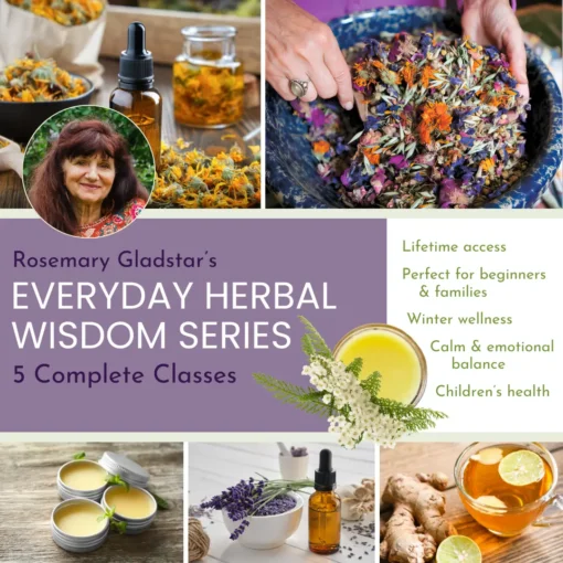 Herbal Wisdom Bundle Square