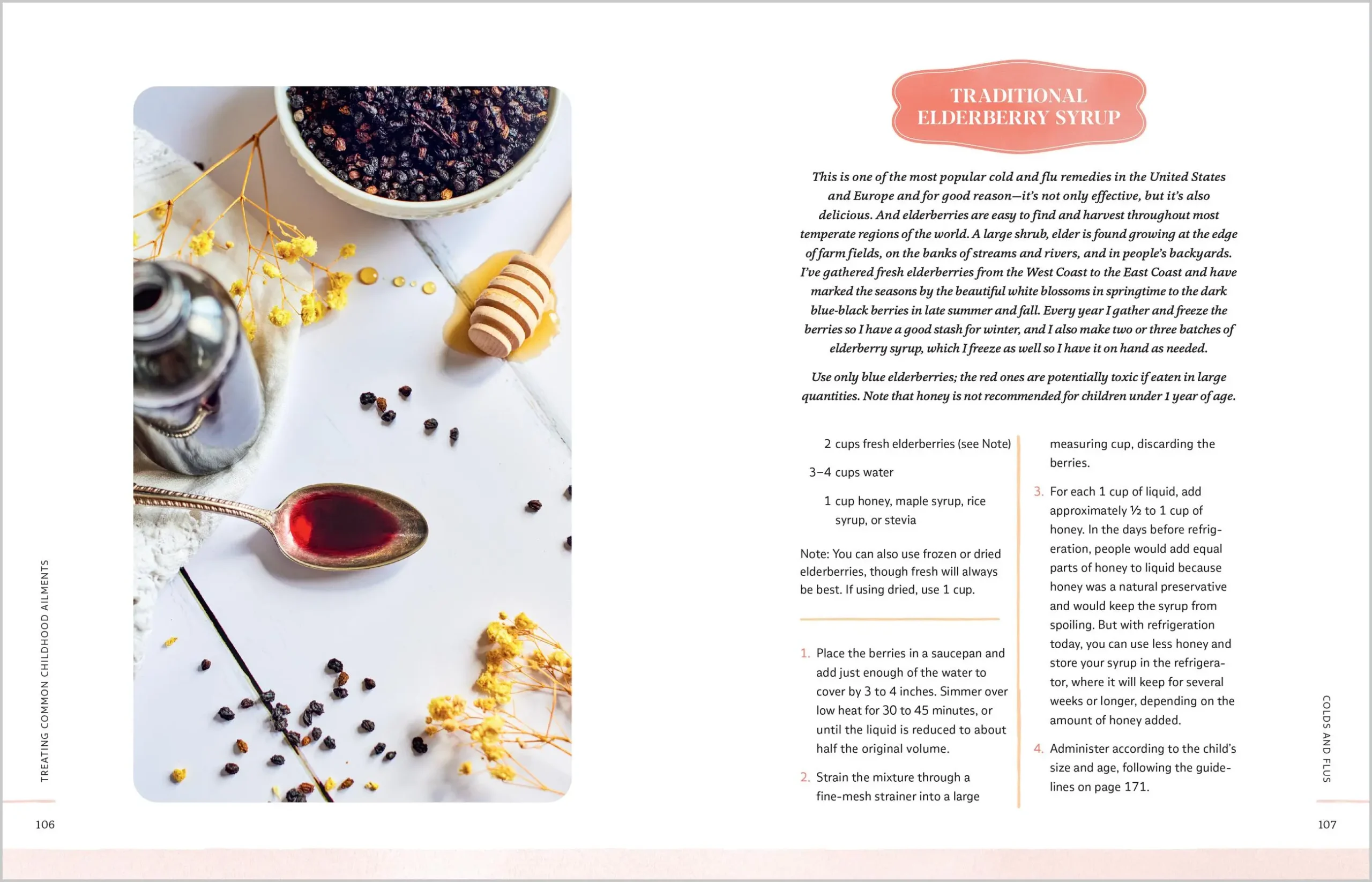 Herbs for Children's Health, 3rd edition - elderberry syrup