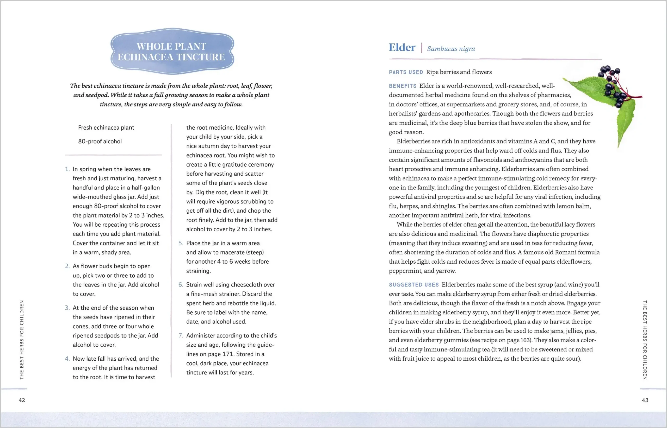 Herbs for Children's Health, 3rd edition - elderberry tincture