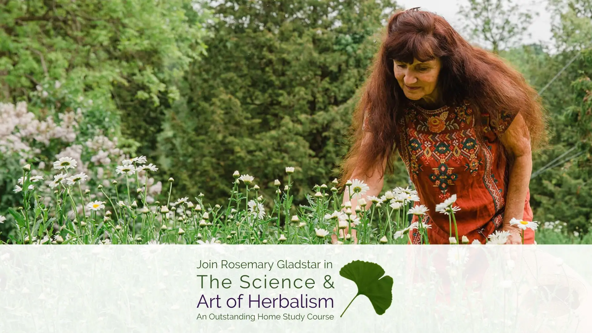 Join Rosemary in The Science and Art of Herbalism