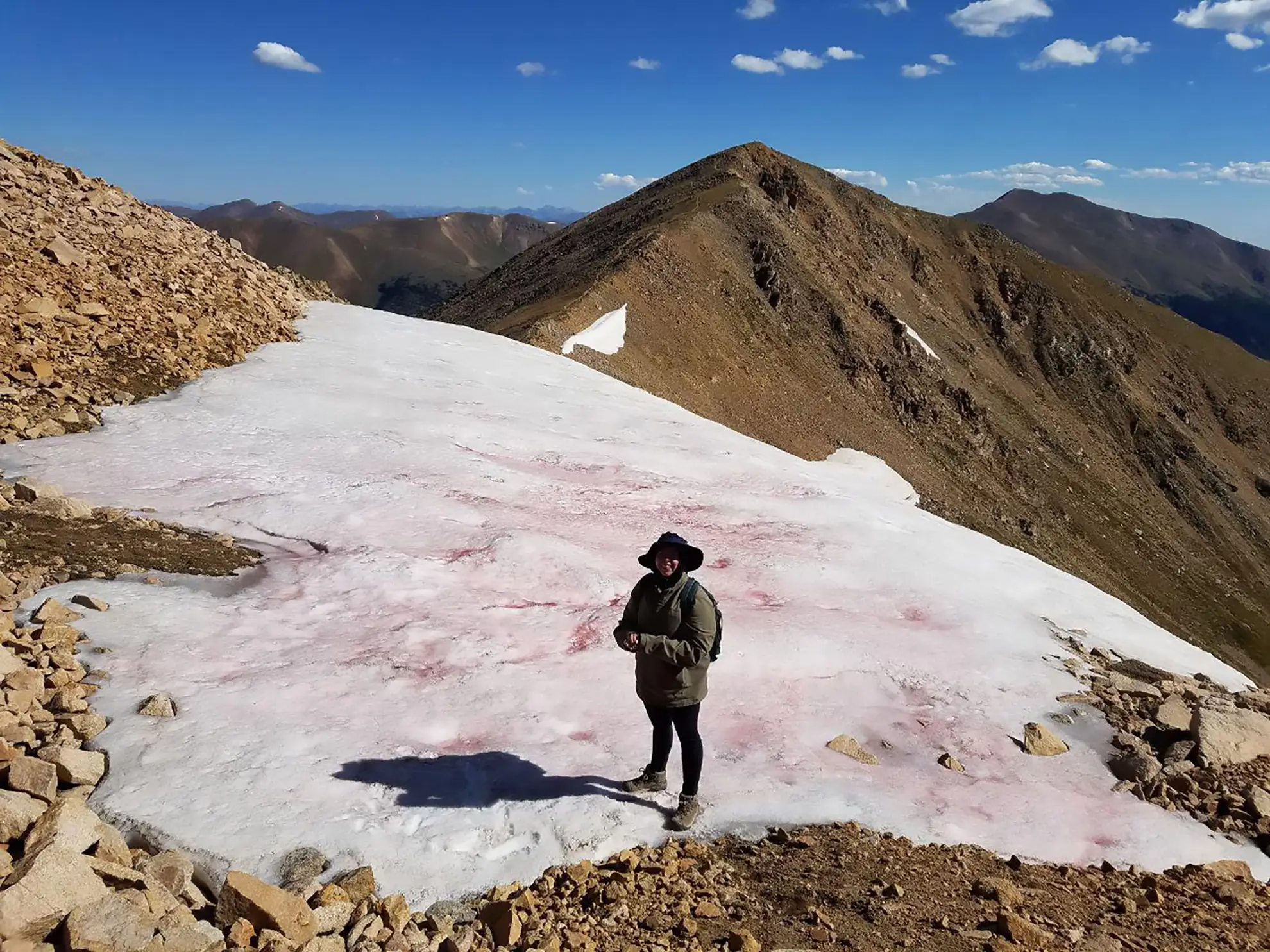 molly sams traveling