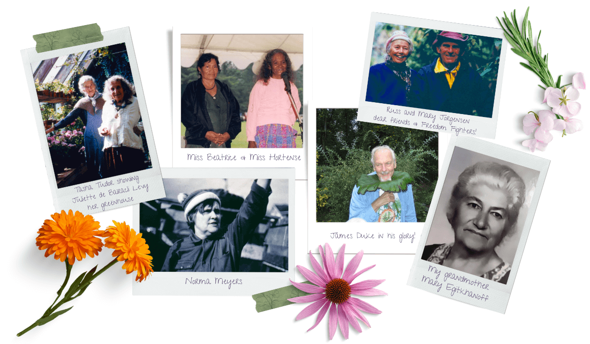 Some of Rosemary Gladstar's Elders