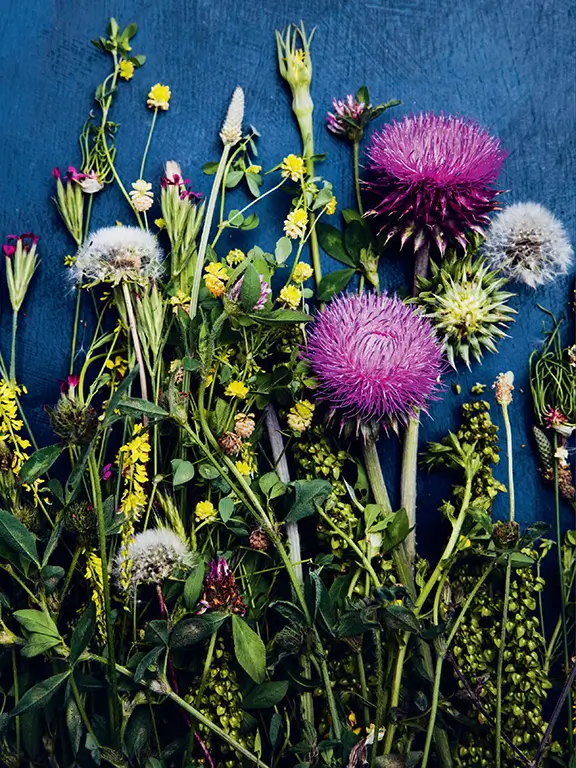 The Generosity of Plants 2 TOC c RosemaryGladstar GenerosityPlants cover